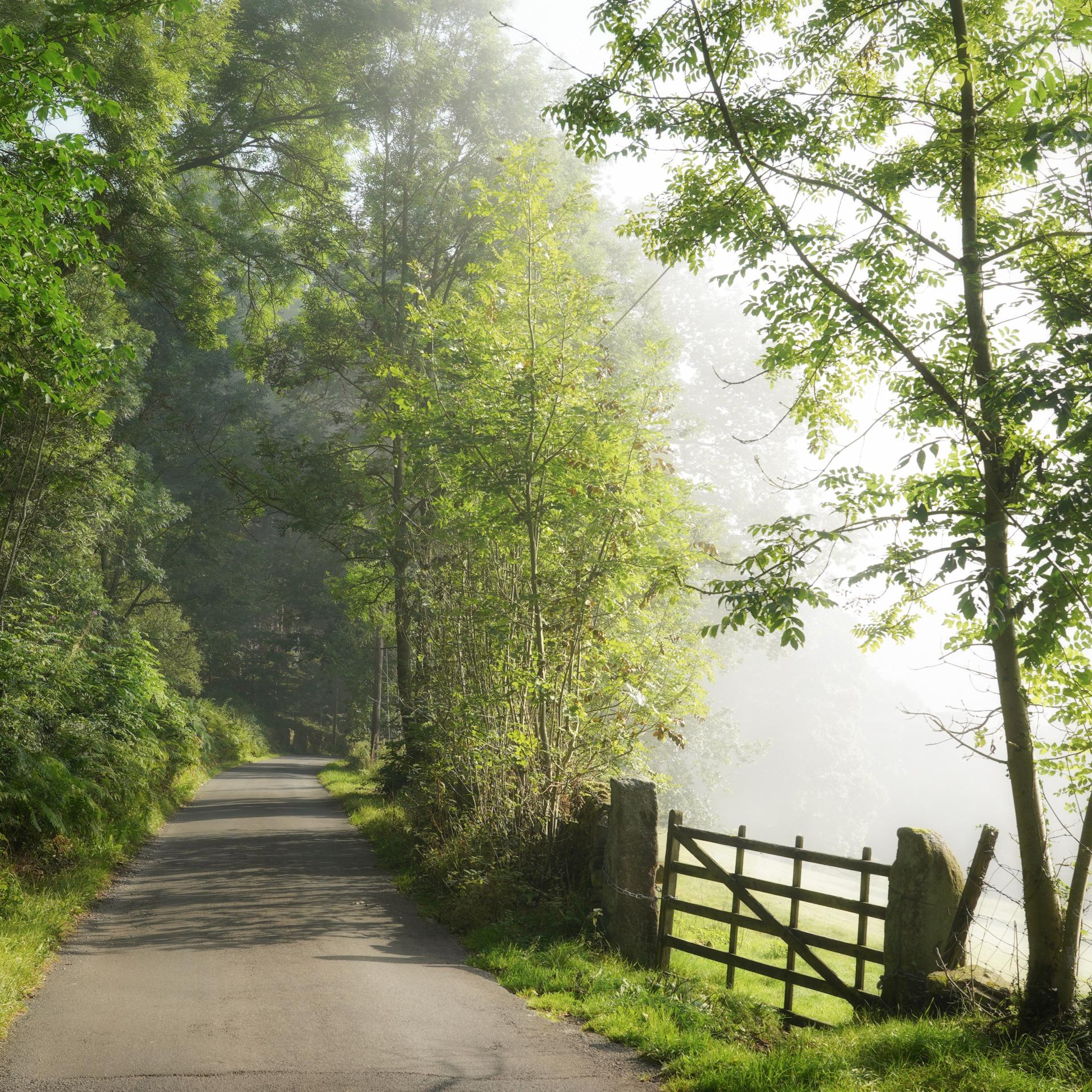 Peaklass Peak District Walks – Peaklass | Peak District Photography