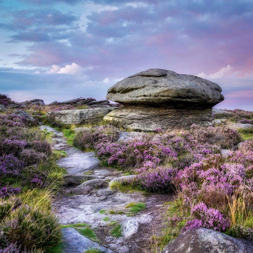 Heather Candy – Peaklass | Peak District Photography