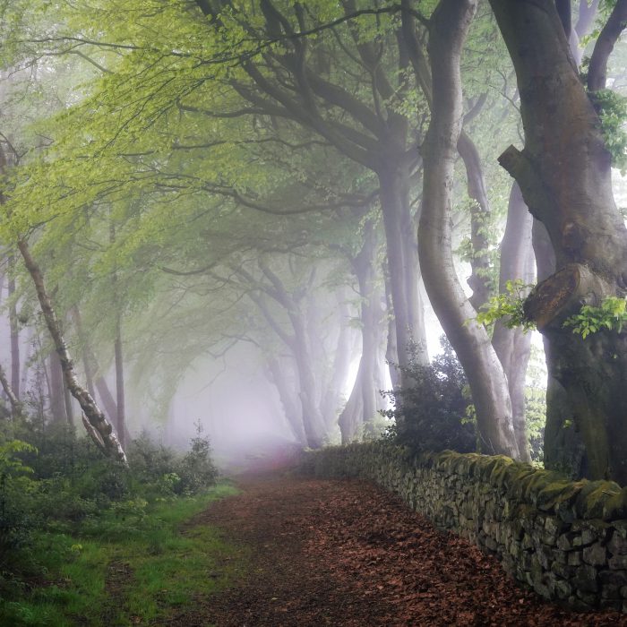 Going Home – Peaklass | Peak District Photography