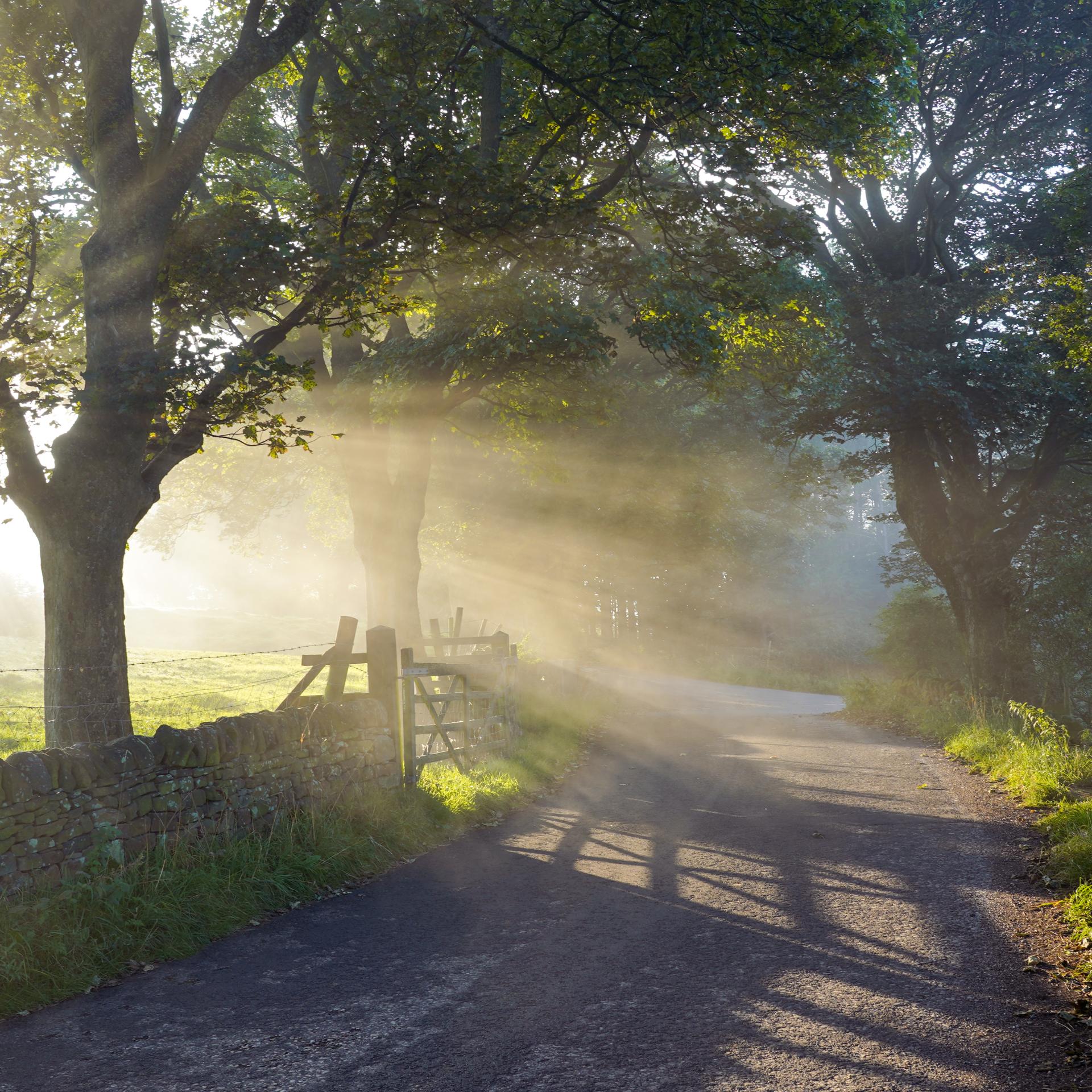 The Light on the Lane – Peaklass | Peak District Photography