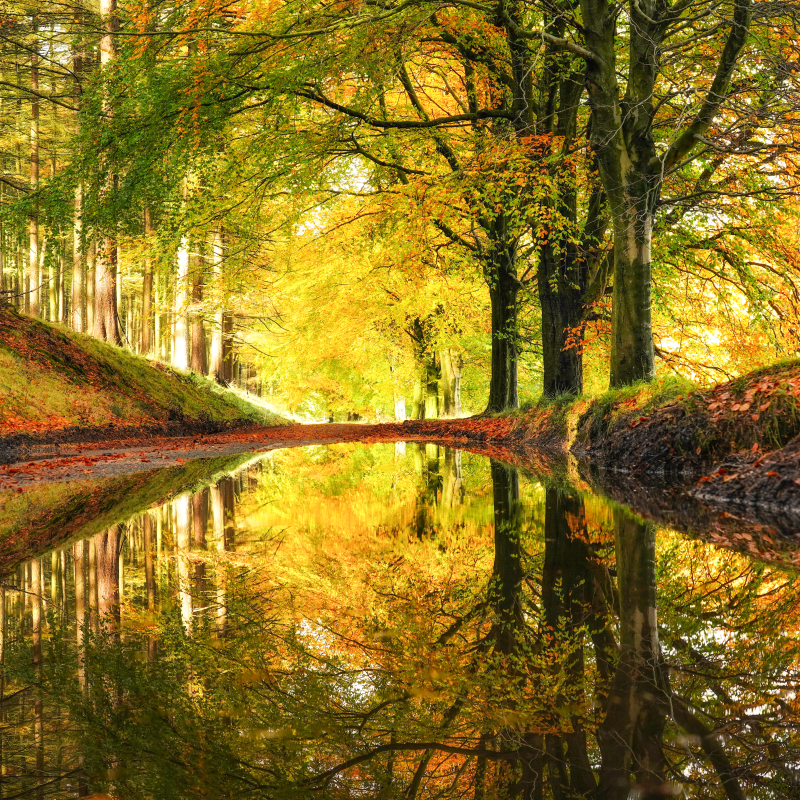 Peaklass | Peak District Photography – Capturing Little Peak District ...