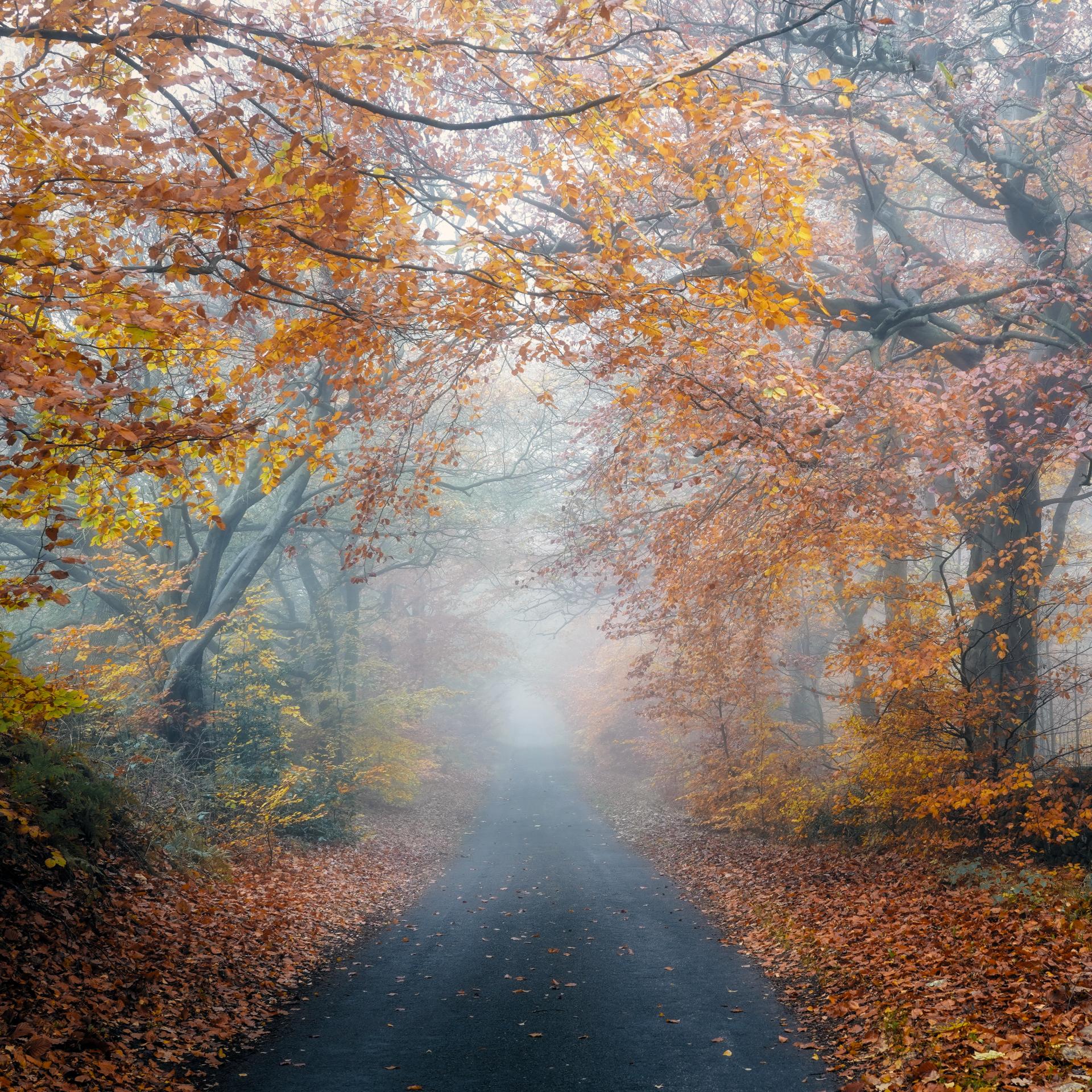 Falling – Peaklass | Peak District Photography