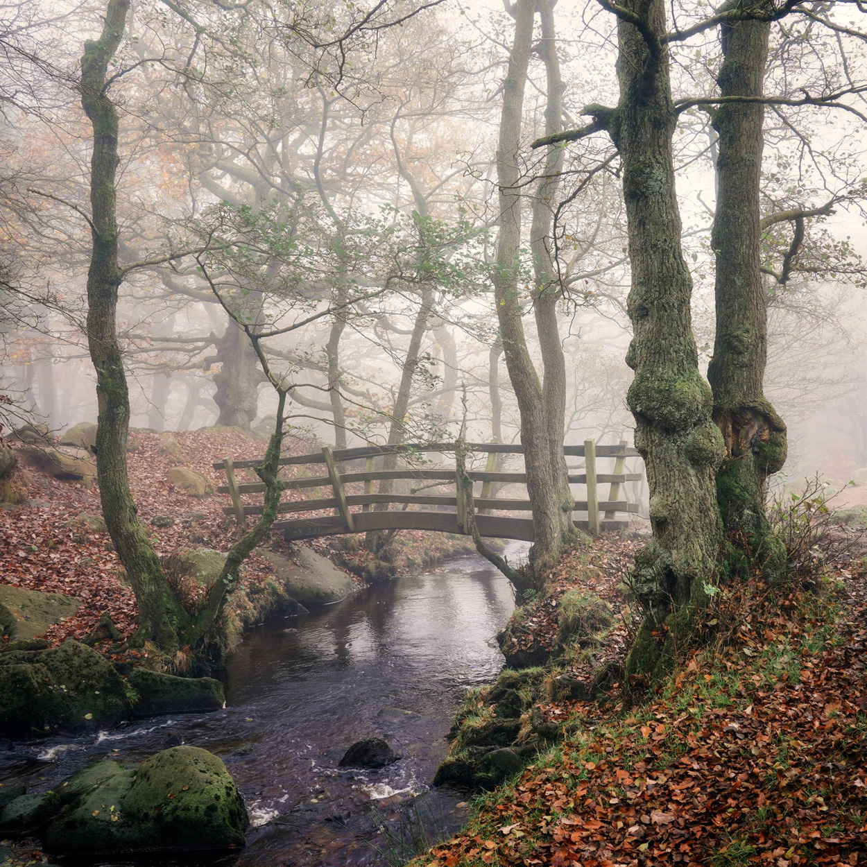 Wooden bridge in misty autumn woodland