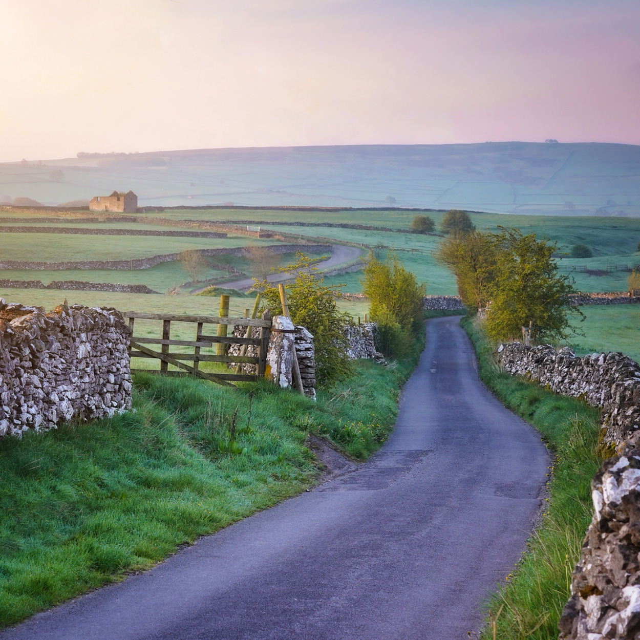 Morning on a country lane