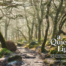 A Quiet Light | Peaklass Book