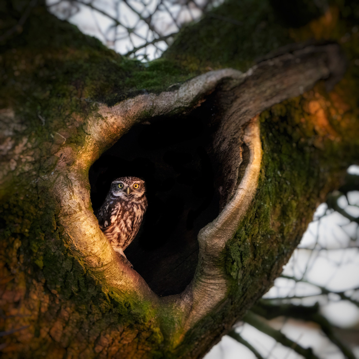 Peak District Photography