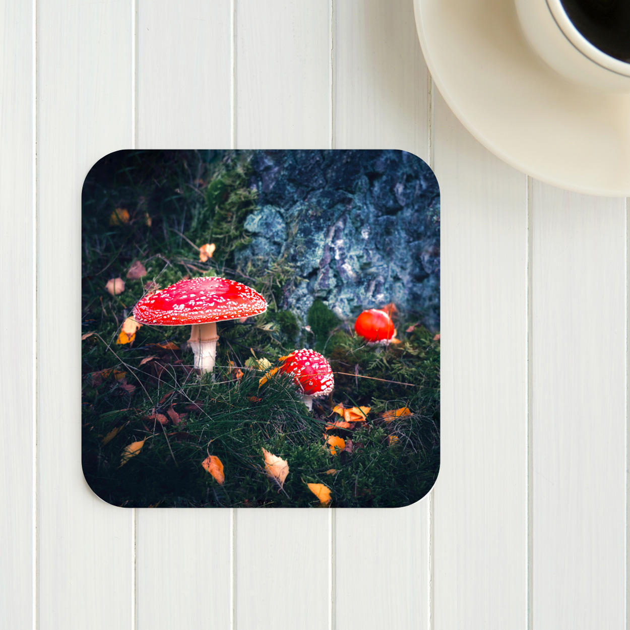 Peak District Fungi Photography