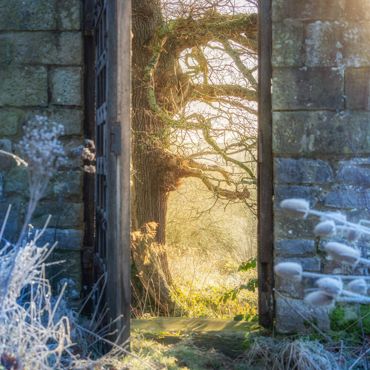 Peak District Photography