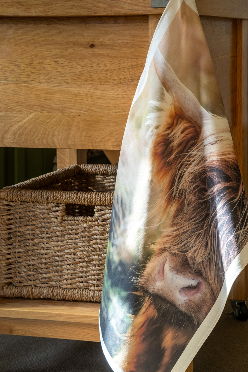 Tea Towel - Highland Cow - Image 2